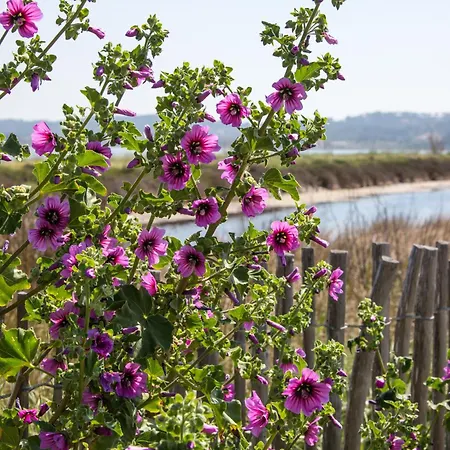 Villa Le De La Presqu Ile De Giens Sea And Mountain Pleasure *