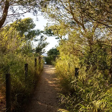 Villa Le De La Presqu Ile De Giens Sea And Mountain Pleasure