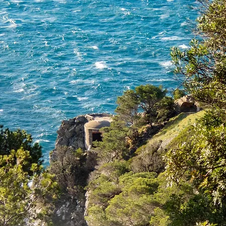 Le De La Presqu Ile De Giens Sea And Mountain Pleasure Hyeres