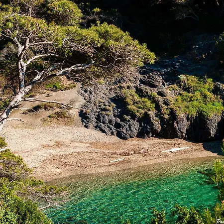 Villa Le De La Presqu Ile De Giens Sea And Mountain Pleasure Hyeres