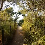 Villa Le De La Presqu Ile De Giens Sea And Mountain Pleasure