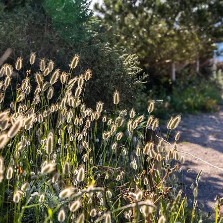 Le De La Presqu'ile De Giens * Hyères