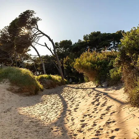 Villa Le De La Presqu'ile De Giens *