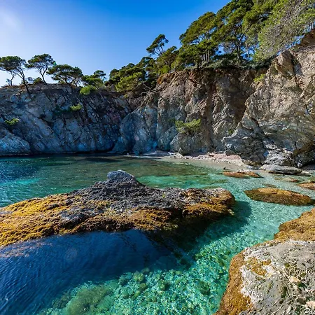 ヴィラ Le De La Presqu Ile De Giens Sea And Mountain Pleasure *