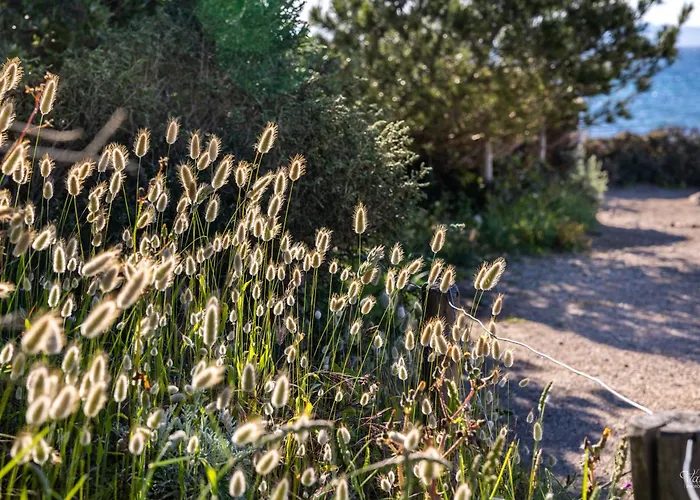 Le De La Presqu Ile De Giens Sea And Mountain Pleasure * Єр