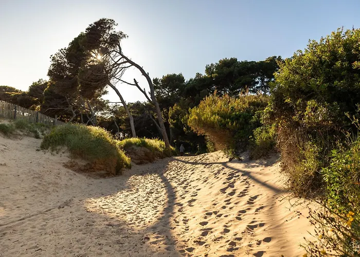 Villa Le De La Presqu Ile De Giens Sea And Mountain Pleasure *