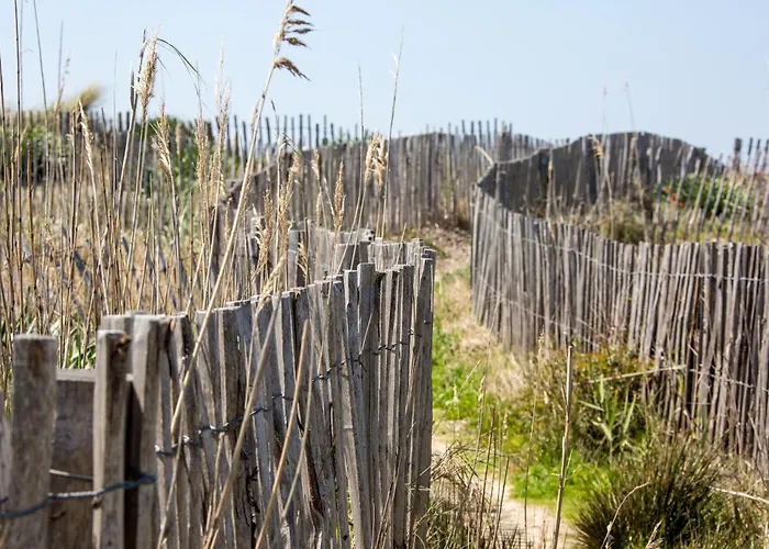 Le De La Presqu Ile De Giens Sea And Mountain Pleasure Villa *