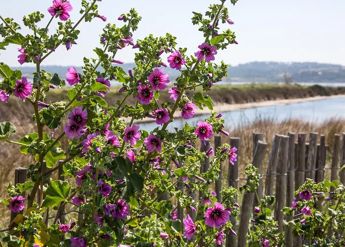 Вілла Le De La Presqu Ile De Giens Sea And Mountain Pleasure *