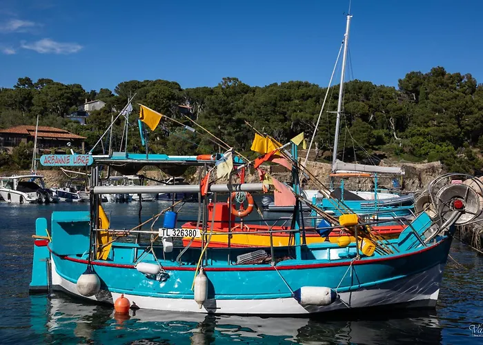 Вілла Le De La Presqu Ile De Giens Sea And Mountain Pleasure Єр