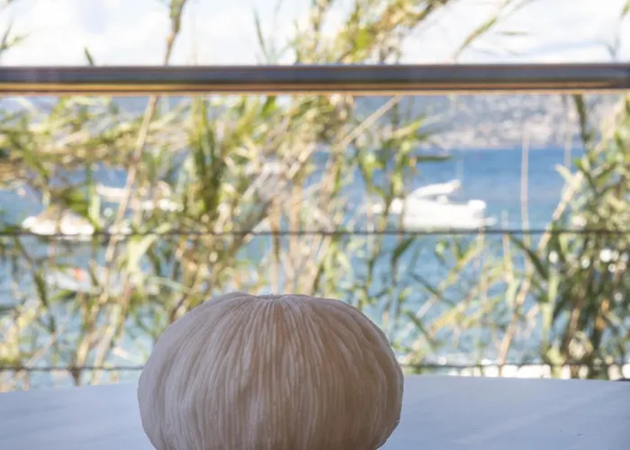 Villa Le De La Presqu Ile De Giens Sea And Mountain Pleasure