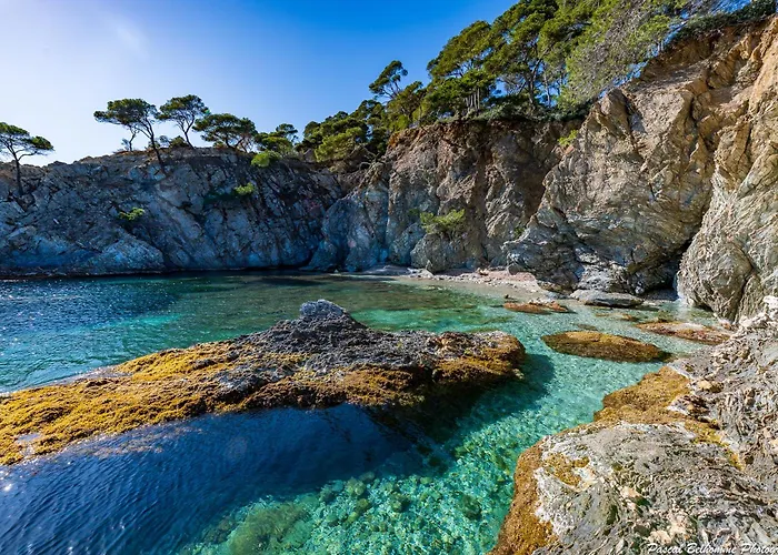 Villa Le De La Presqu Ile De Giens Sea And Mountain Pleasure *