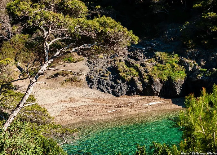 Вілла Le De La Presqu Ile De Giens Sea And Mountain Pleasure Єр